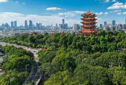 91麻豆天美视频-沉静与自律——内地对于网络成人娱乐内容管理的观点与举措