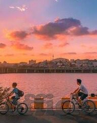 暴操人妻-在情感迷雾中寻找理智的灯塔——关于暴操人妻现象的深思