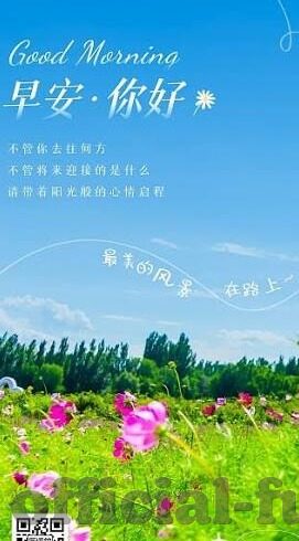 大象视频传媒入口-探索大象视频传媒的多元化内容平台