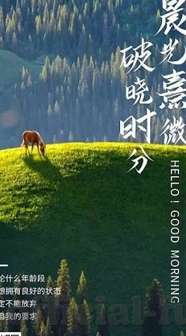 国产麻豆一精品av一免费软件-邂逅国产之光，麻豆一精品AV的免费鎏金之旅