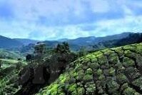久久久精品人妻一区二区三区-探索成人内容平台的多元性与社会影响