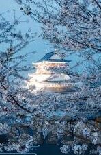 久久久久久人妻精品一区-探寻成人世界里的独特风景——久久久久久人妻精品一区