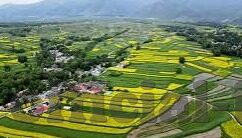 亚洲一区二区三区影院-亚洲影视文化，一区、二区、三区影院的多彩画卷
